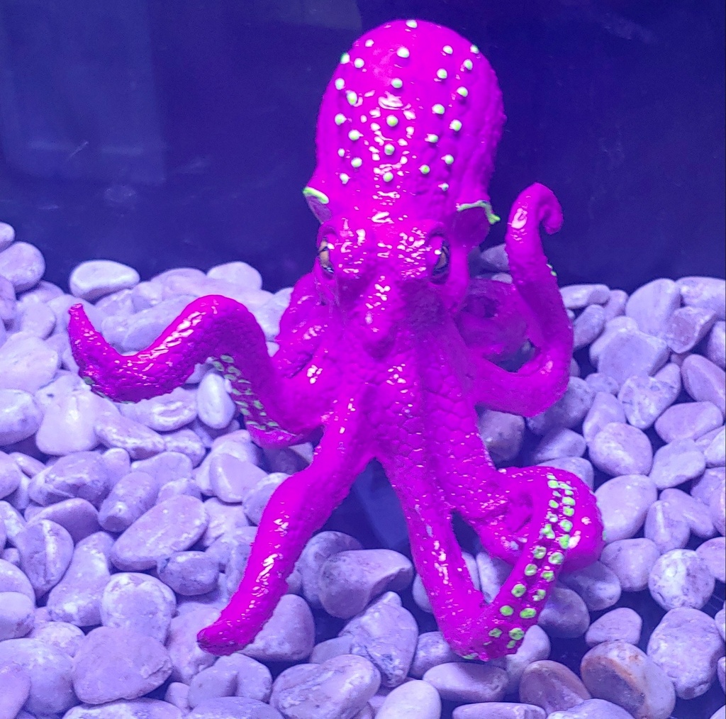 PULPO