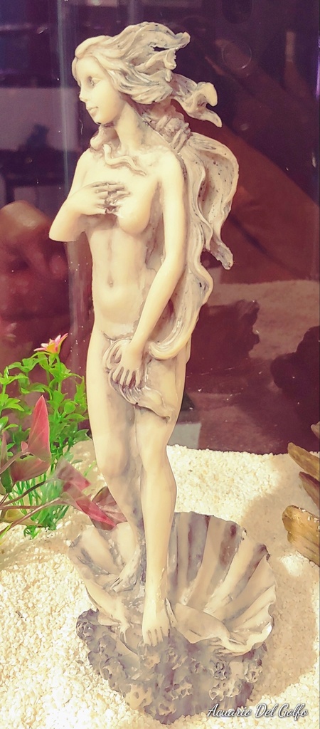 NACIMIENTO DE VENUS (10x7x25 cm)