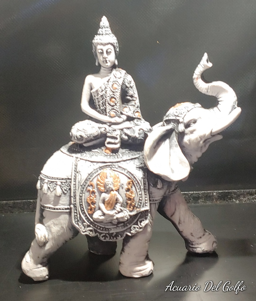 BUDA  EN ELEFANTE