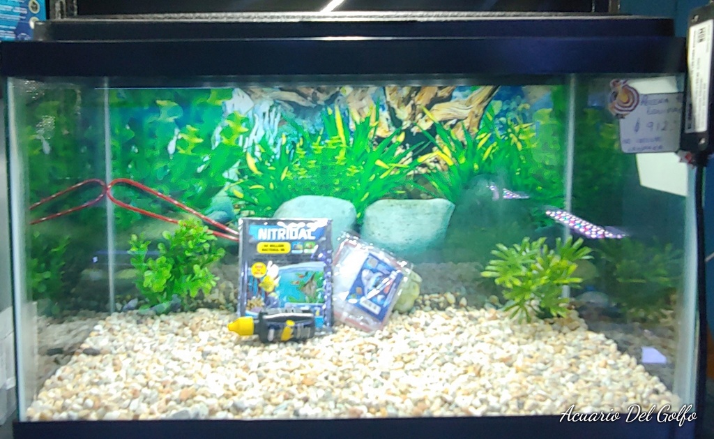 KIT DE ACUARIO 40 L