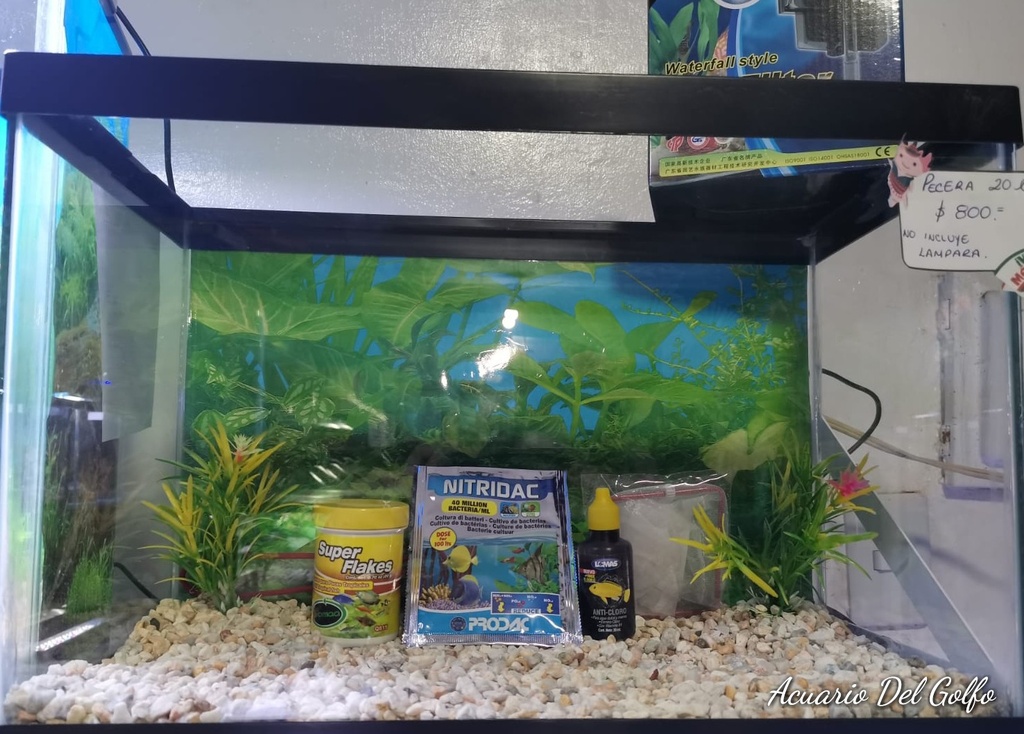 KIT DE ACUARIO 20 L