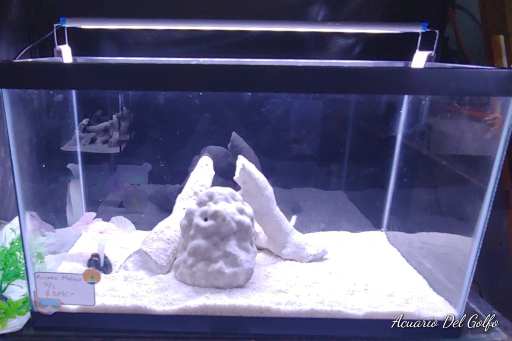 KIT DE ACUARIO 40 L (copia)