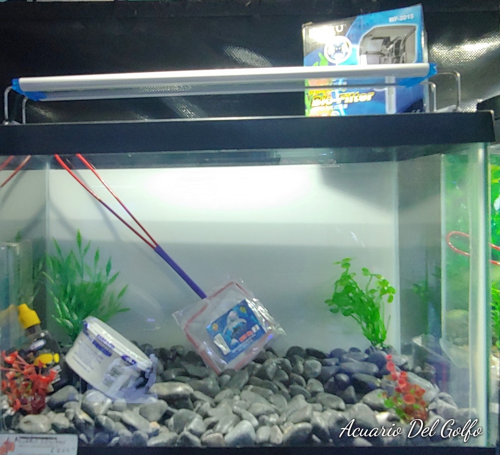 KIT DE ACUARIO 20 L (copia)