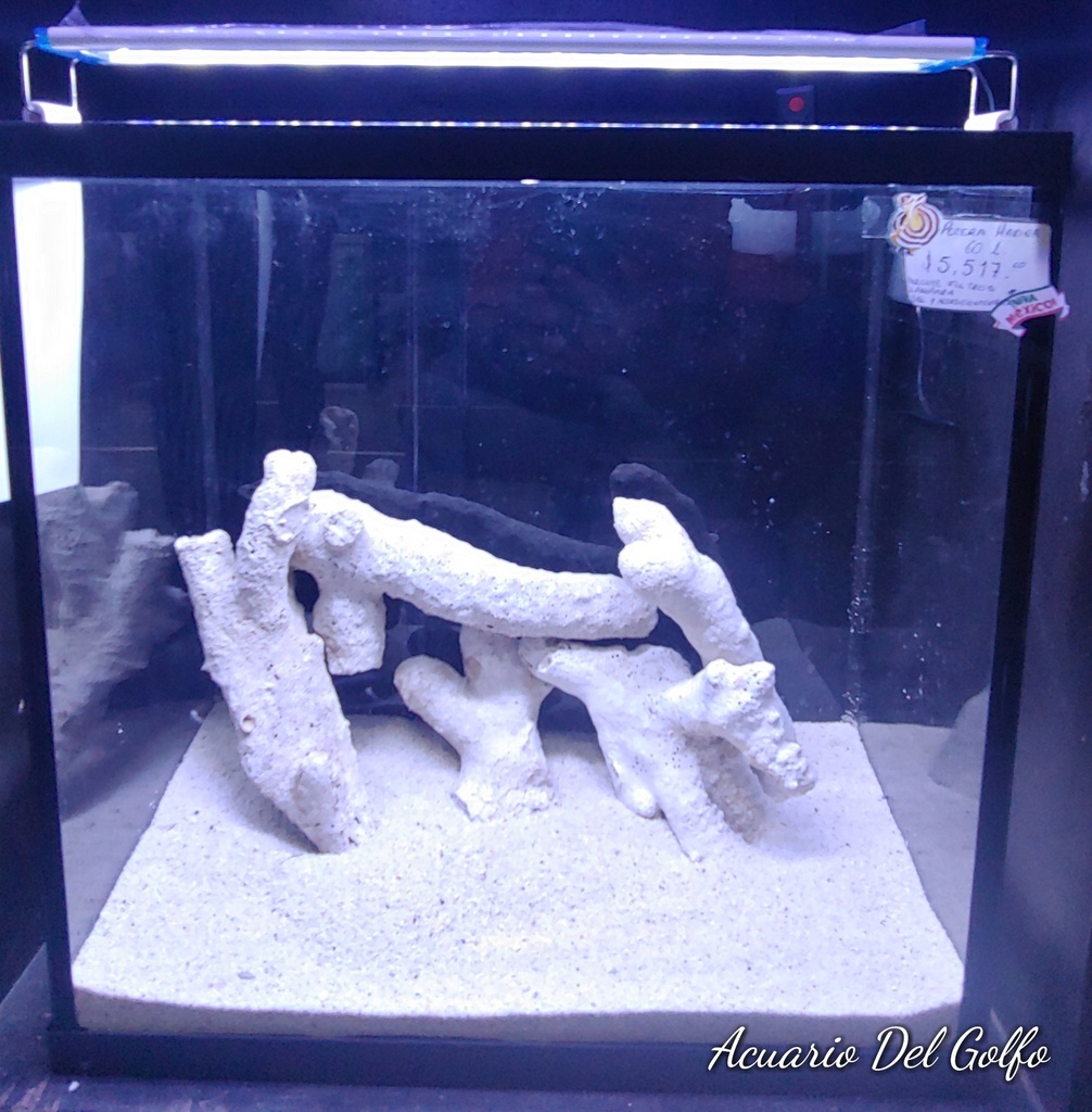 KIT DE ACUARIO 40 L MARINO (copia)