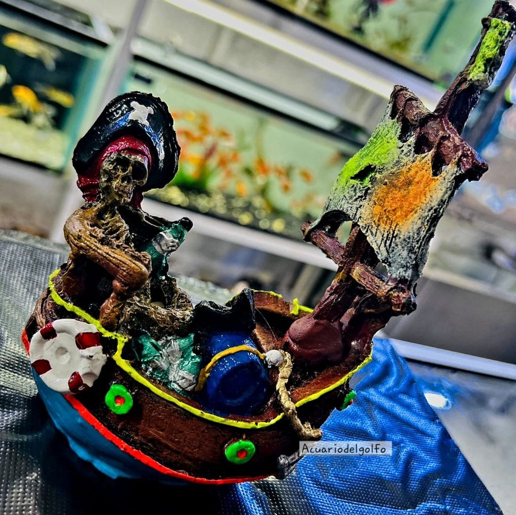 Barco Pirata (copia)