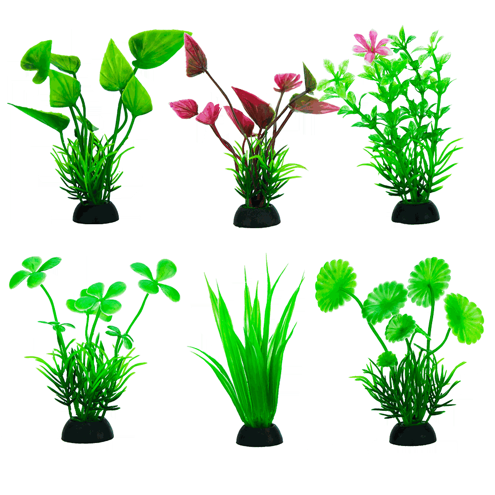 PLANTAS P/ACUARIO 4&quot; (10 CM) 6 PZ