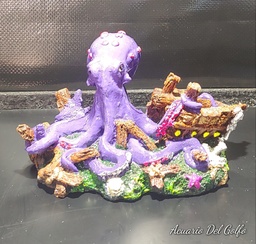 [PIBR] Pulpo en Barco Roto chico