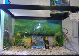 [KIT20] KIT DE ACUARIO 20 L