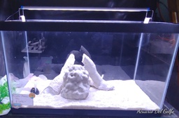 [KIT40] KIT DE ACUARIO 40 L (copia)