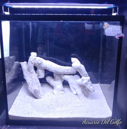 [KIT60] KIT DE ACUARIO 40 L MARINO (copia)